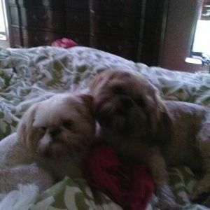 Meet your Posher, Julie